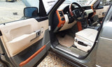 ASSEMBLY SunRoof Glass Only Fits 03-12 RANGE ROVER 3533418