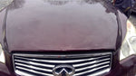Hood Fits 08-12 INFINITI EX35 463406
