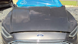 Hood Fits 13-20 FUSION 4858660