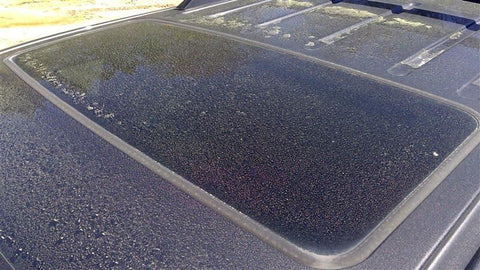 Assembly Roof Glass Fits 9717 EXPEDITION 3495820