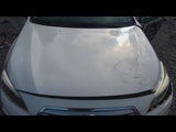 Hood Fits 1519 LEGACY 4705610