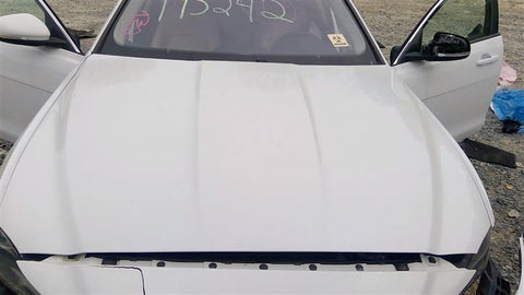 Hood Fits 1720 XE 4642080