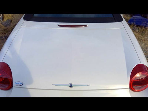 Trunk/Hatch/Tailgate Fits 0205 THUNDERBIRD 2950230