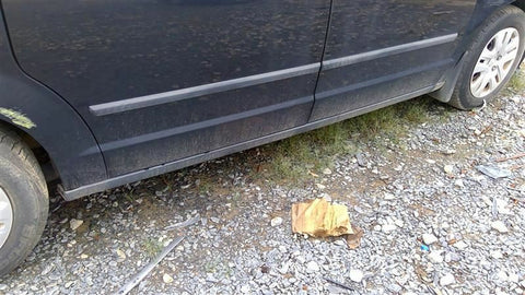 CARAVAN   2013 Rocker Panel Moulding 3427940