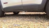 RENEGADE  2019 Rocker Panel Moulding 4864910