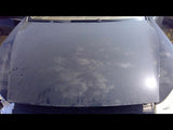 Hood Without Turbo Fits 0306 0810 PORSCHE CAYENNE 3121290