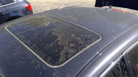 Roof Sunroof SWB Fits 0713 LEXUS LS460 3493290