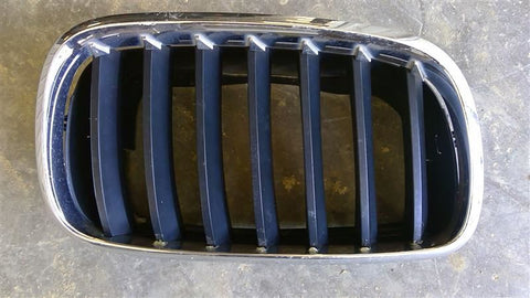 Passenger Grille Hood Black And Chrome Finish Fits 0713 BMW X5 3539470