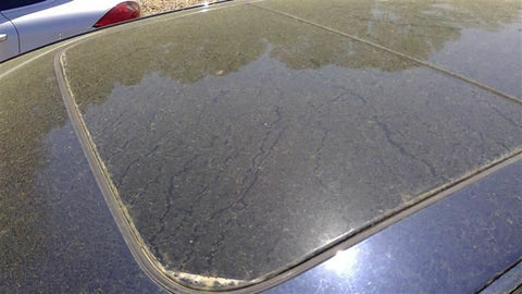 ASSEMBLY SunRoof Glass With Panoramic 2 Panels Front Glass Fits 1118 AUDI A8 350