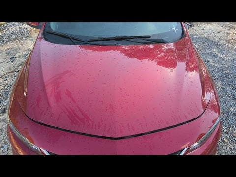 Hood Fits 1623 MALIBU 4764260