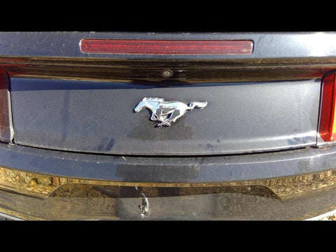 Tail Finish Panel Black With Model Emblem Fits 1518 MUSTANG 3358030