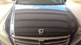 Hood Fits 11-16 EQUUS 4861580