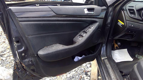 CADENZA   2014 Front Door Trim Panel 3556950