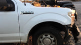 Passenger Fender Without Wheel Lip Moulding Fits 15-20 FORD F150 PICKUP 4802380