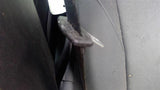 Seat Belt Front Bucket Passenger Retractor Fits 1418 BMW 320i 3411420