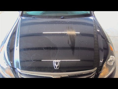 Hood Fits 1116 EQUUS 4767080