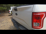 Trunk/Hatch/Tailgate Without Tailgate Step Fits 1517 FORD F150 PICKUP 4758162