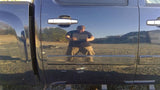 Passenger Rear Side Door Crew Cab Fits 07-14 SIERRA 2500 PICKUP 4590770