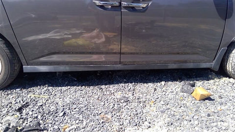 ODYSSEY   2015 Rocker Panel Moulding 463984