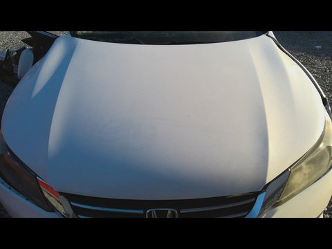 Hood Sedan Prop Rod Fits 13-15 ACCORD 4792270