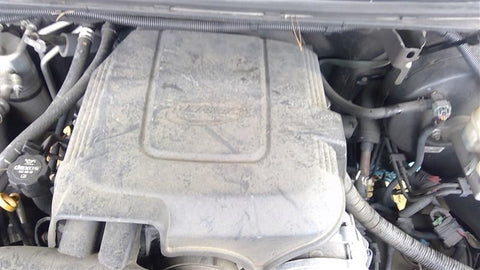 ESCALAESV 2012 Engine Cover 3566540