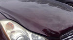 Hood Fits 08-12 INFINITI EX35 463406