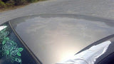 Roof Coupe Metal Roof Fits 0514 MUSTANG 3387920