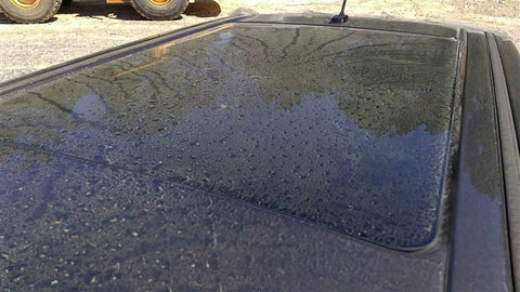 ASSEMBLY SunRoof Glass Front Sliding Fits 0919 FLEX 3491310