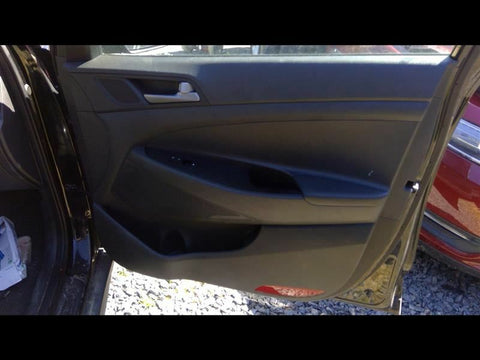 TUCSON    2016 Front Door Trim Panel 3357320