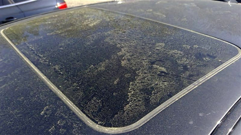 ASSEMBLY SunRoof Glass Fits 0717 LEXUS LS460 3493300