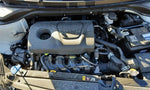 Driver Door Handle Exterior Assembly Door Body Color Fits 18-20 ACCENT 459555