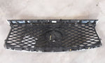 Grille With Front View Camera Fits 16-19 INFINITI QX60 462980