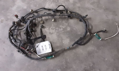 EXCURSION 2005 Engine Wire Harness 4676870