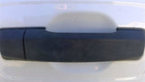 Passenger Door Handle Exterior Assembly Door Front Fits 1620 TITAN XD 4584380