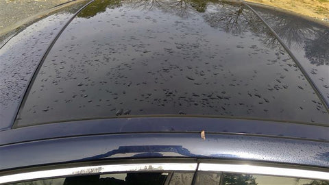 Roof Glass Fits 17-19 XE 4609750