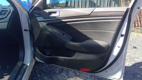 CADENZA   2015 Front Door Trim Panel 4637280