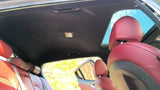 STINGER   2020 Headliner 4807231