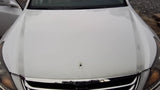 Hood Fits 11-16 EQUUS 4800370