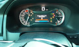 PILOT     2017 Strut 4903980