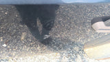 Driver Front Door Full Door Manual Window Regulator Fits 07-10 WRANGLER 4849042