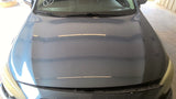 Hood Fits 15-19 LEGACY 4855250