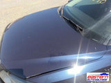Hood Fits 13-15 PASSAT 4882570