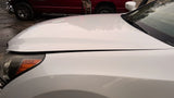 Hood Fits 11-16 EQUUS 4800372