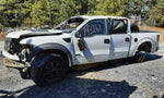 Driver Front Window Regulator Crew Cab Fits 11-14 FORD F150 PICKUP 465975