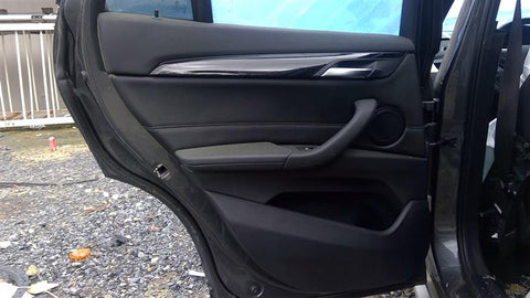 X1        2018 Door Trim Panel Rear 464865