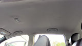 LEAF      2013 Headliner 4809240