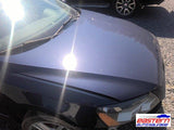 Hood Fits 13-15 PASSAT 4882572
