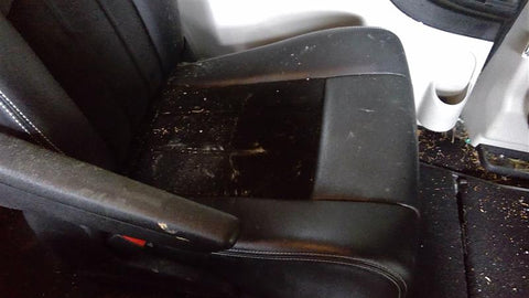 CARAVAN   2017 Seat Rear 462754