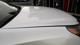 Hood Fits 11-16 EQUUS 4800371
