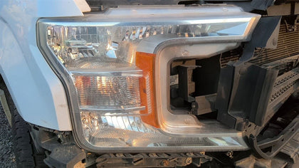 Passenger Headlight Halogen Fits 18-20 FORD F150 PICKUP 4802390
